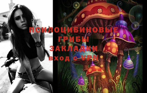 дурь Аркадак