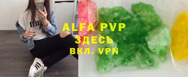 прущие грибы Арсеньев