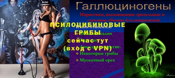 дурь Аркадак