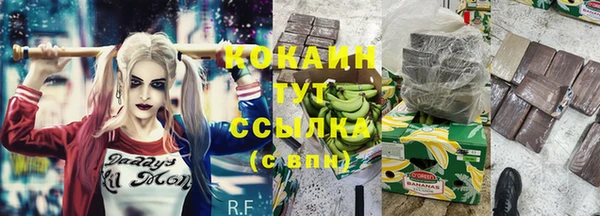 ПСИЛОЦИБИНОВЫЕ ГРИБЫ Армянск