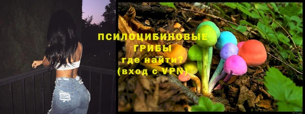 ПСИЛОЦИБИНОВЫЕ ГРИБЫ Армянск
