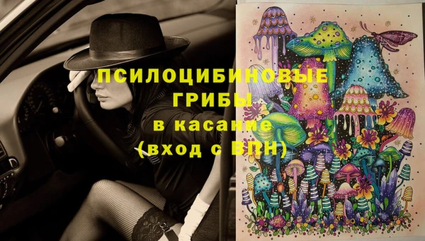прущие грибы Арсеньев