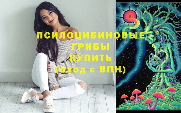ПСИЛОЦИБИНОВЫЕ ГРИБЫ Армянск