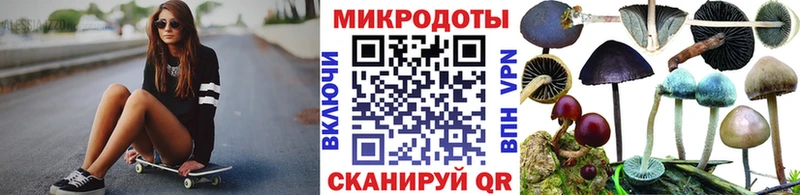 купить  сайты  Курган  Псилоцибиновые грибы Psilocybine cubensis 